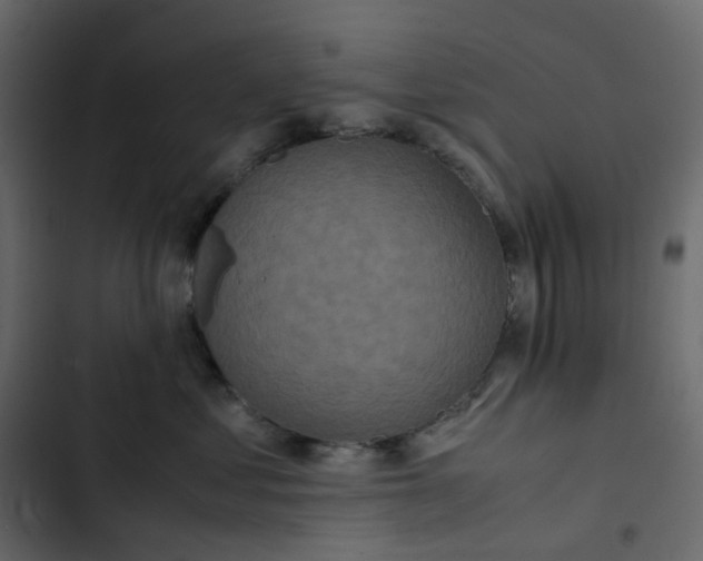 X0000102840621200809021338