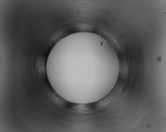 X0000102840622200809021338