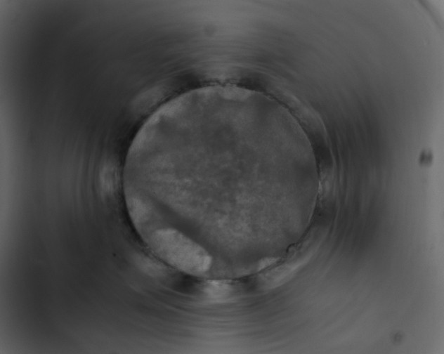 X0000102840623200809021338