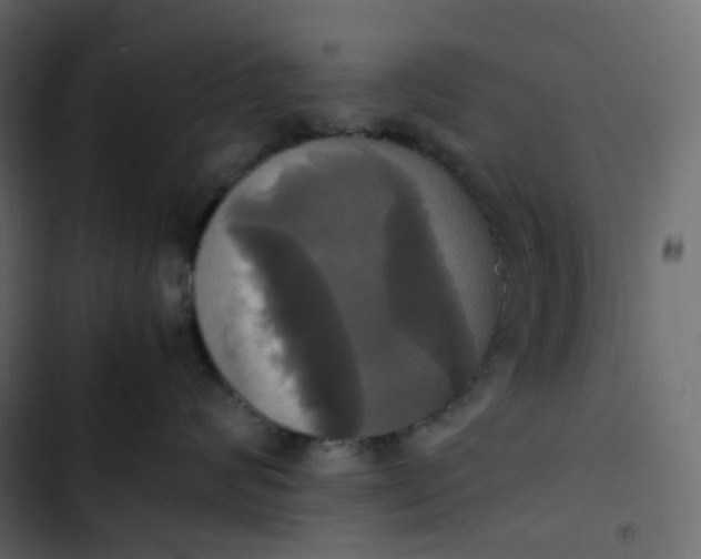 X0000102840624200809021338