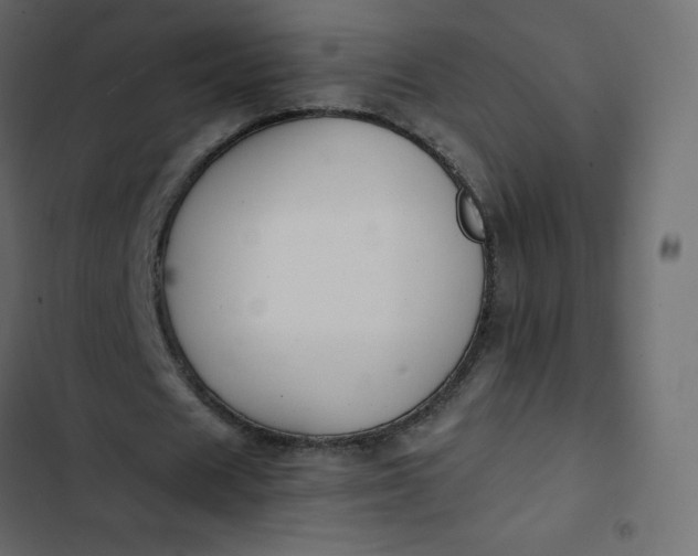 X0000102840625200809021337