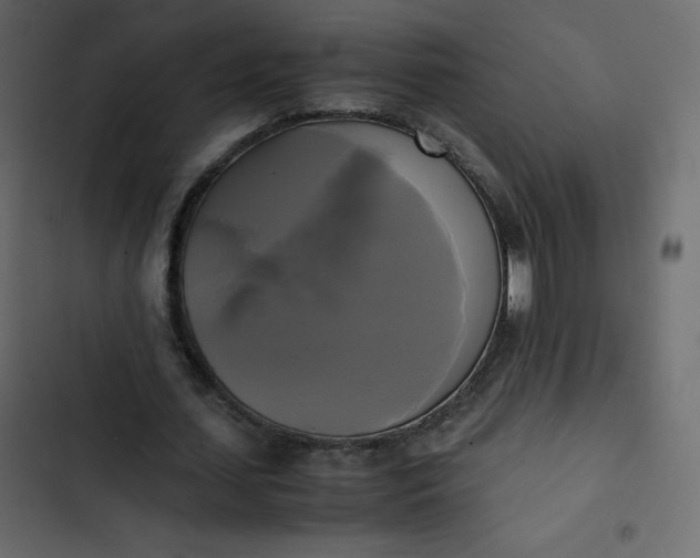 X0000102840627200809021337