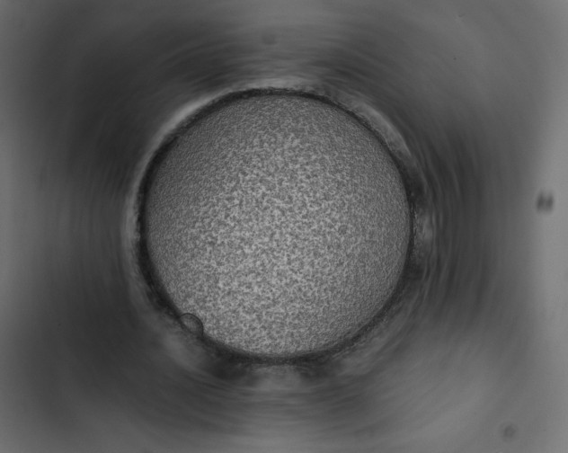 X0000102840628200809021337