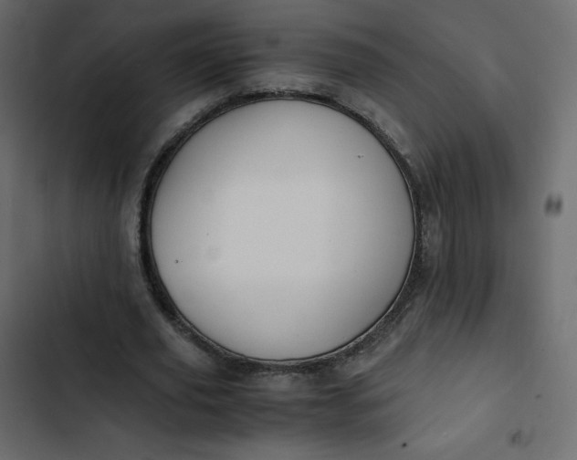 X0000102840629200809021337