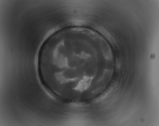 X0000102840630200809021337