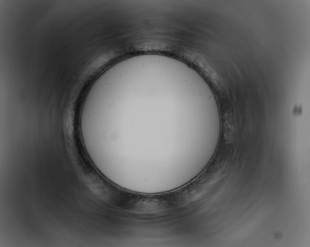 X0000102840631200809021337