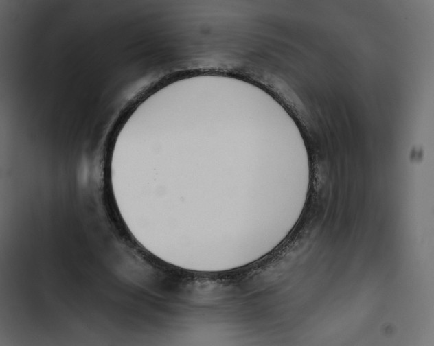 X0000102840632200809021337