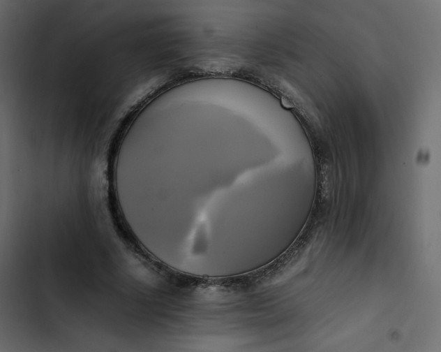 X0000102840634200809021337