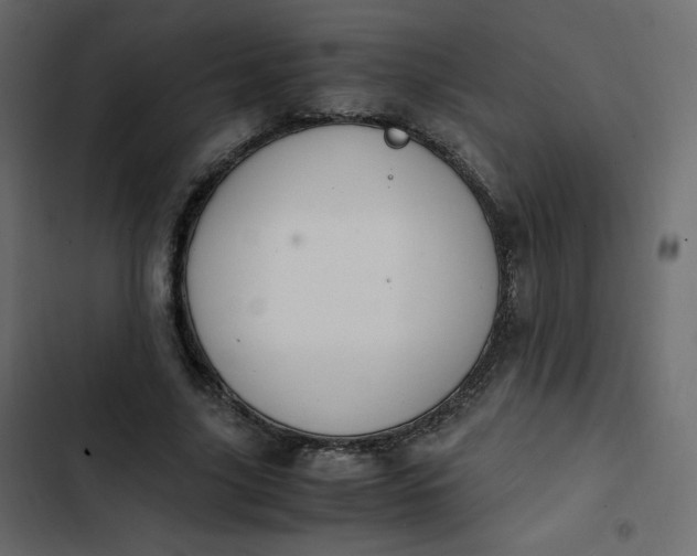 X0000102840635200809021338