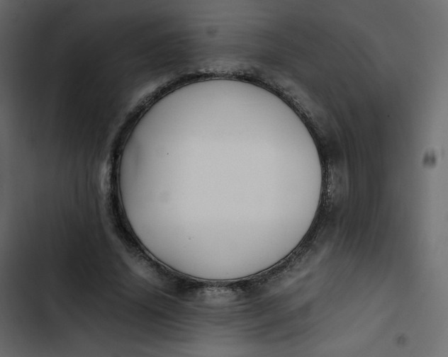 X0000102840636200809021338