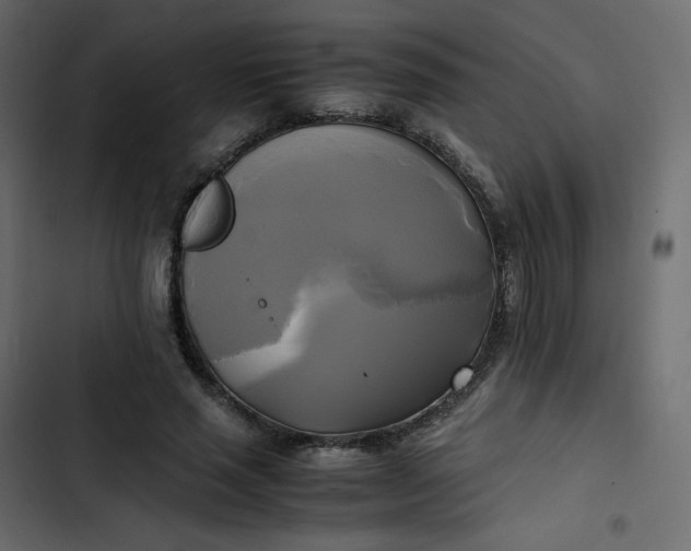 X0000102840637200809021338