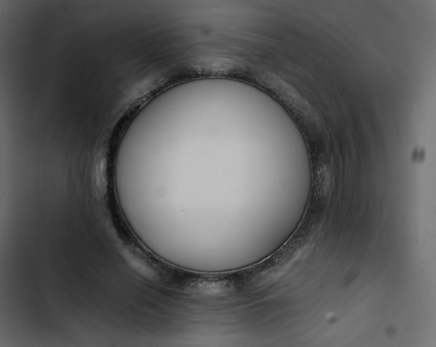 X0000102840638200809021338