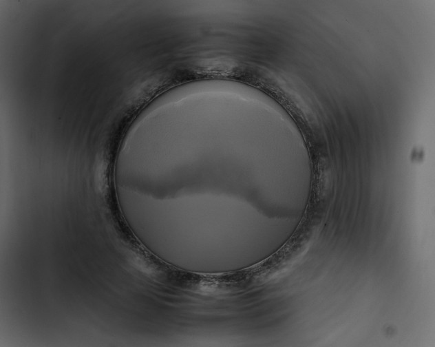 X0000102840641200809021338