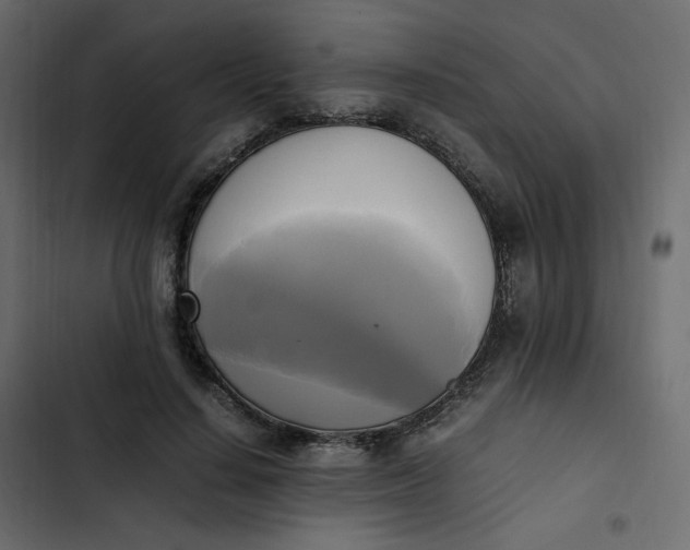 X0000102840644200809021338