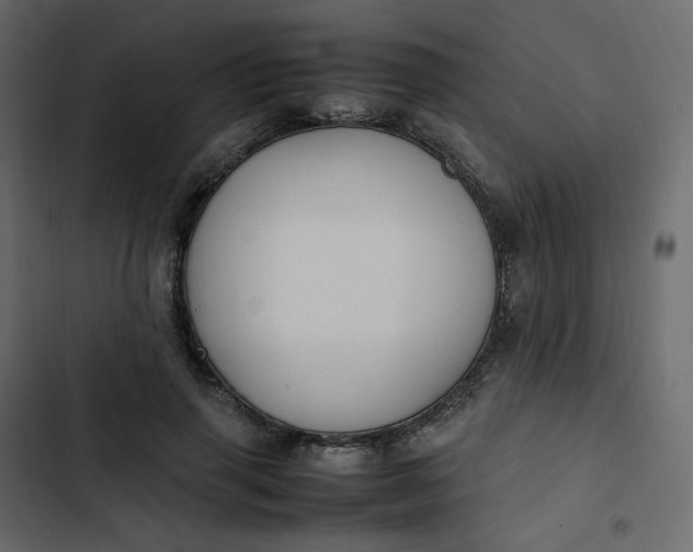 X0000102840645200809021338