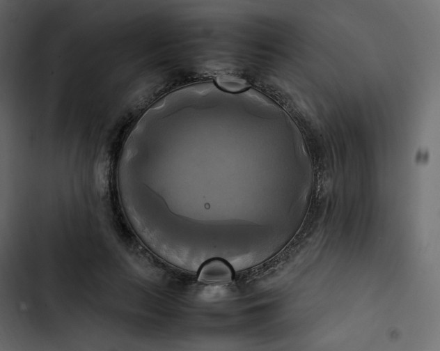 X0000102840647200809021338