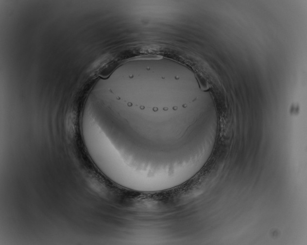 X0000102840648200809021338