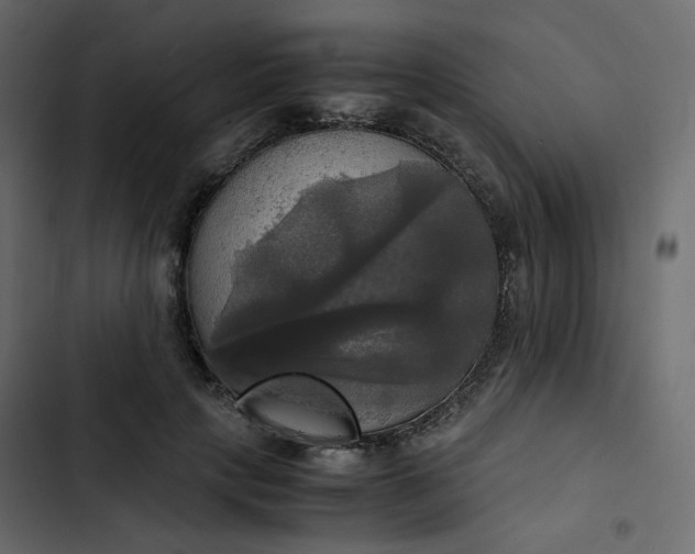 X0000102840649200809021338