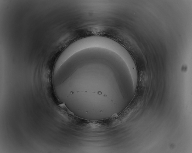 X0000102840650200809021338