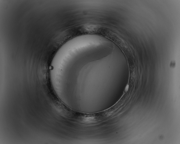 X0000102840651200809021338