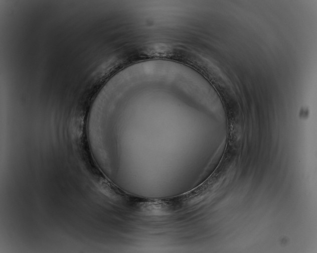 X0000102840652200809021338