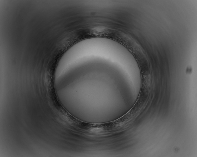 X0000102840653200809021338