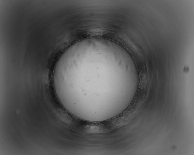 X0000102840655200809021338