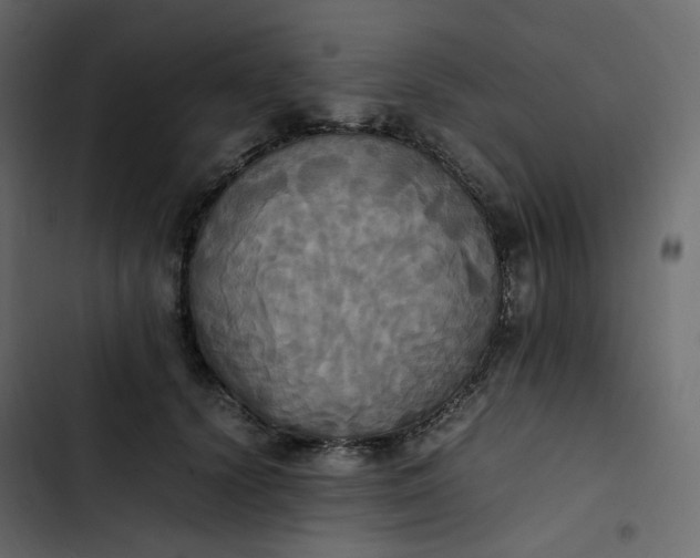 X0000102840656200809021338