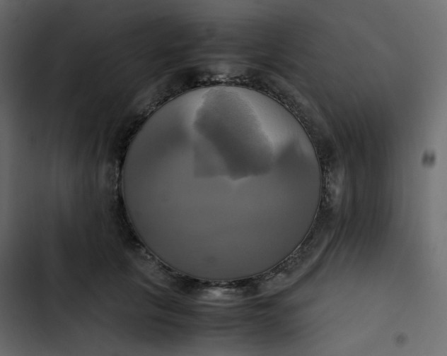 X0000102840657200809021338