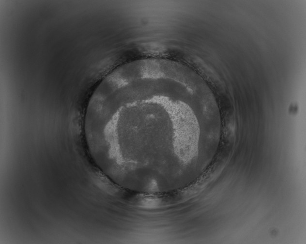 X0000102840658200809021338