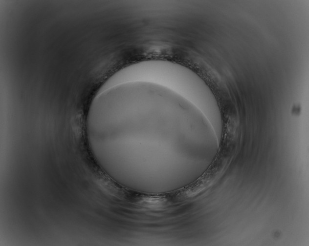 X0000102840659200809021338