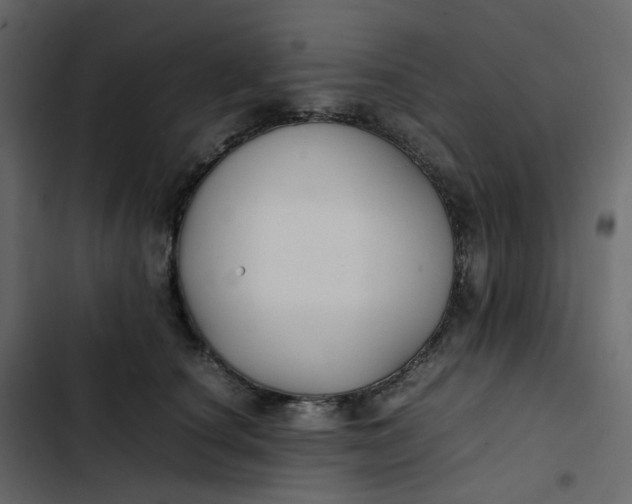 X0000102840660200809021338