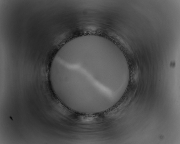 X0000102840661200809021338