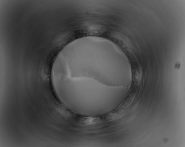 X0000102840663200809021338