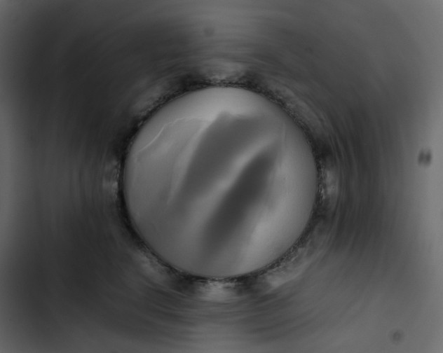 X0000102840664200809021338