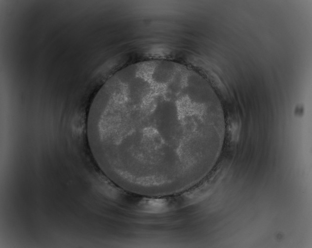 X0000102840665200809021338