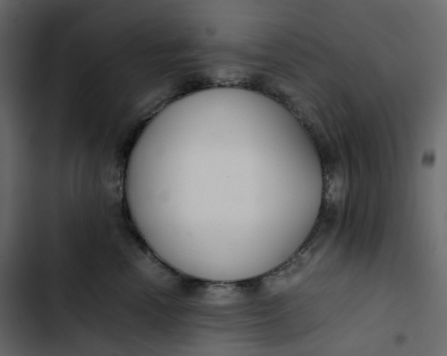 X0000102840666200809021338