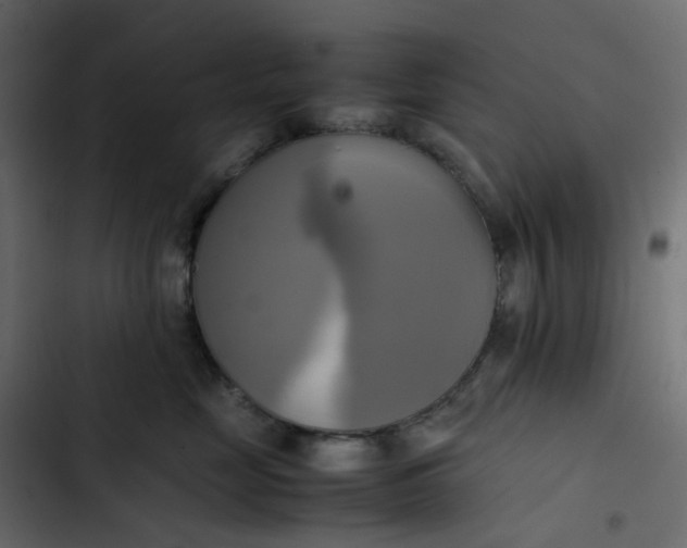 X0000102840669200809021338