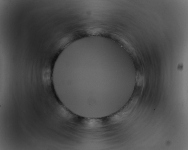 X0000102840670200809021338