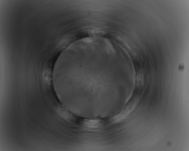 X0000102840671200809021338