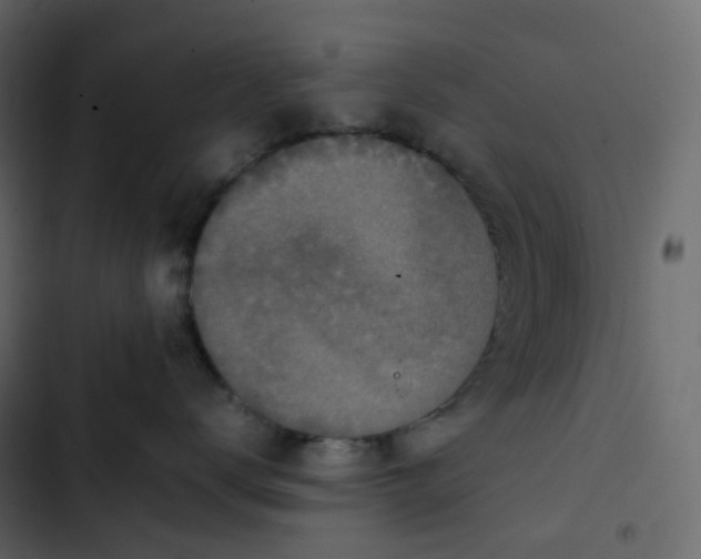 X0000102840672200809021338