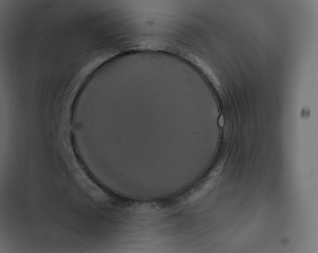 X0000102840673200809021337