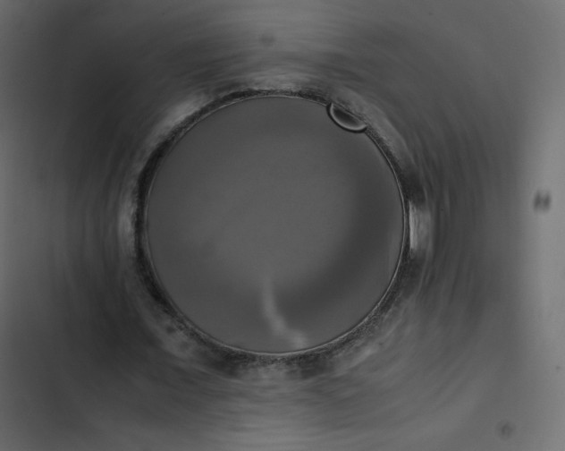 X0000102840675200809021337