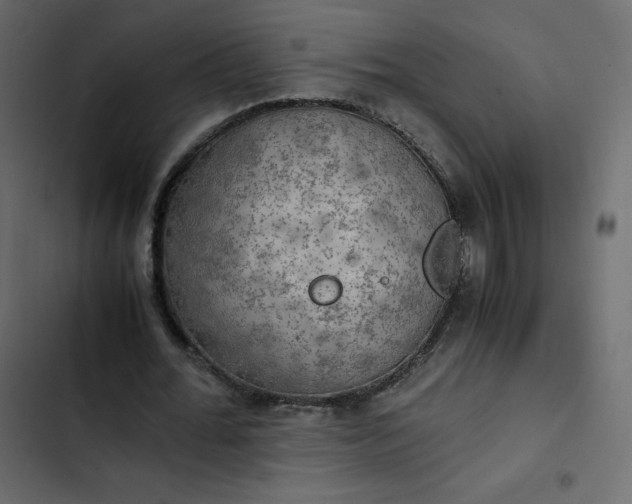 X0000102840676200809021337