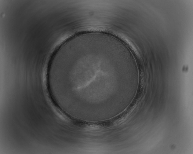 X0000102840677200809021337