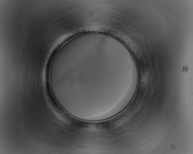 X0000102840678200809021337