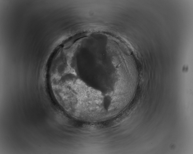 X0000102840679200809021337