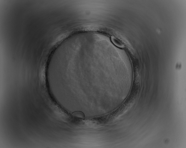 X0000102840681200809021337