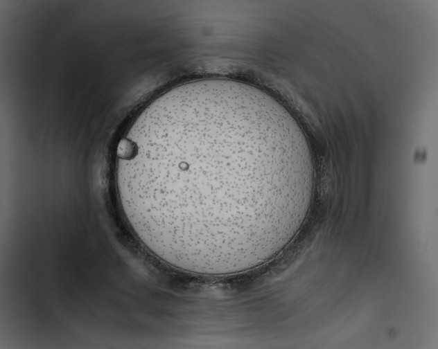 X0000102840683200809021337