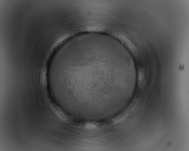 X0000102840684200809021337